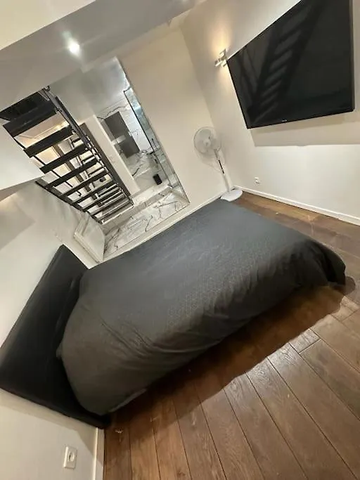 Super Souplex Cinema 4K Paris 15 Apartment